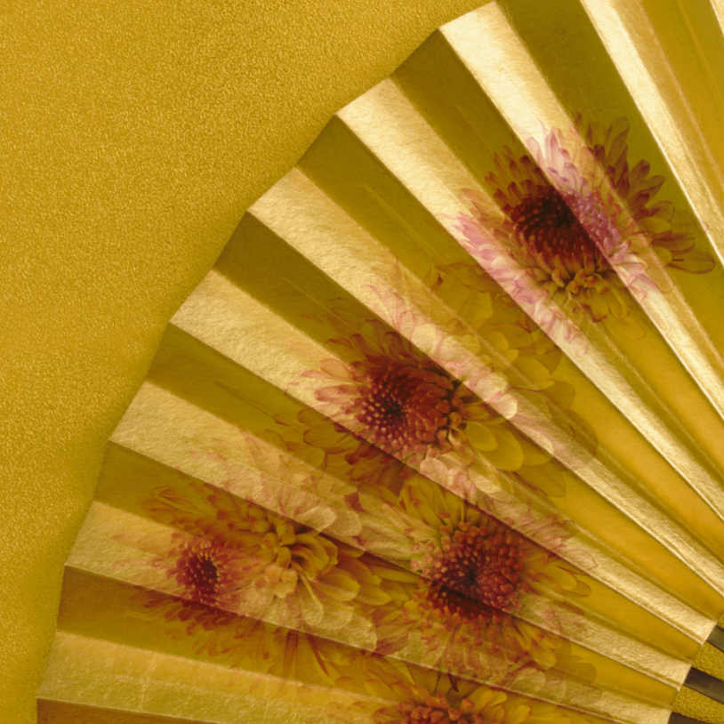 vivi & vela bloom Kyoto inspiration - traditional Japanese folding fan with gold and floral patterns